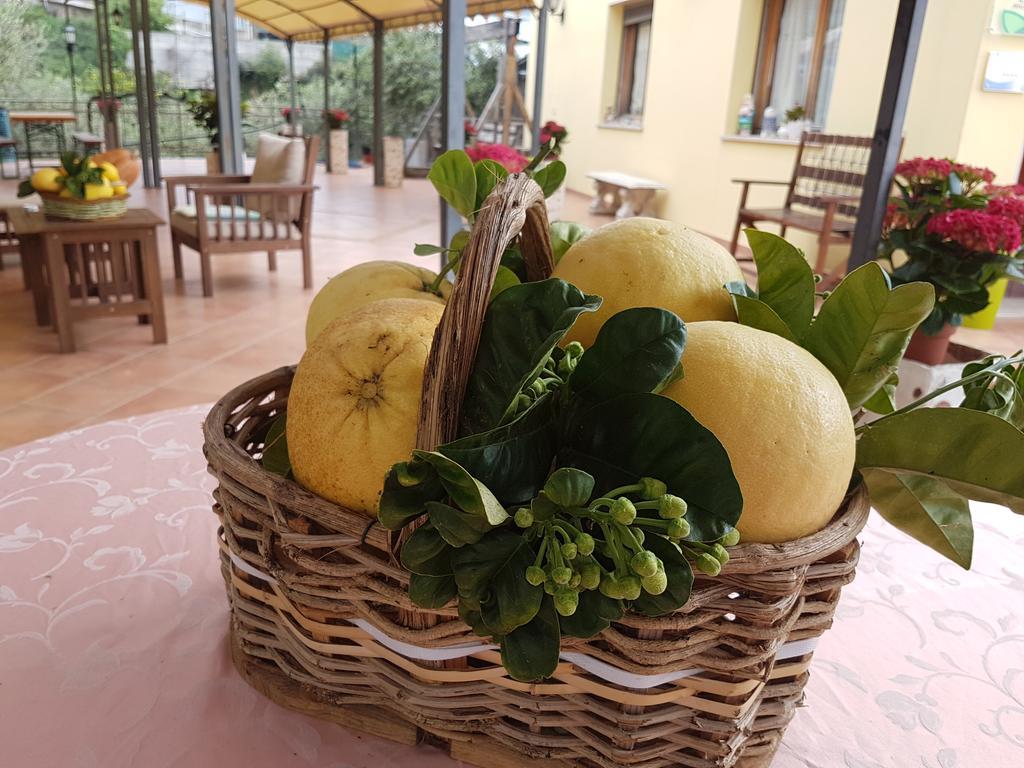 Agriturismo Al Nido Degli Aironi San Remo Exterior foto